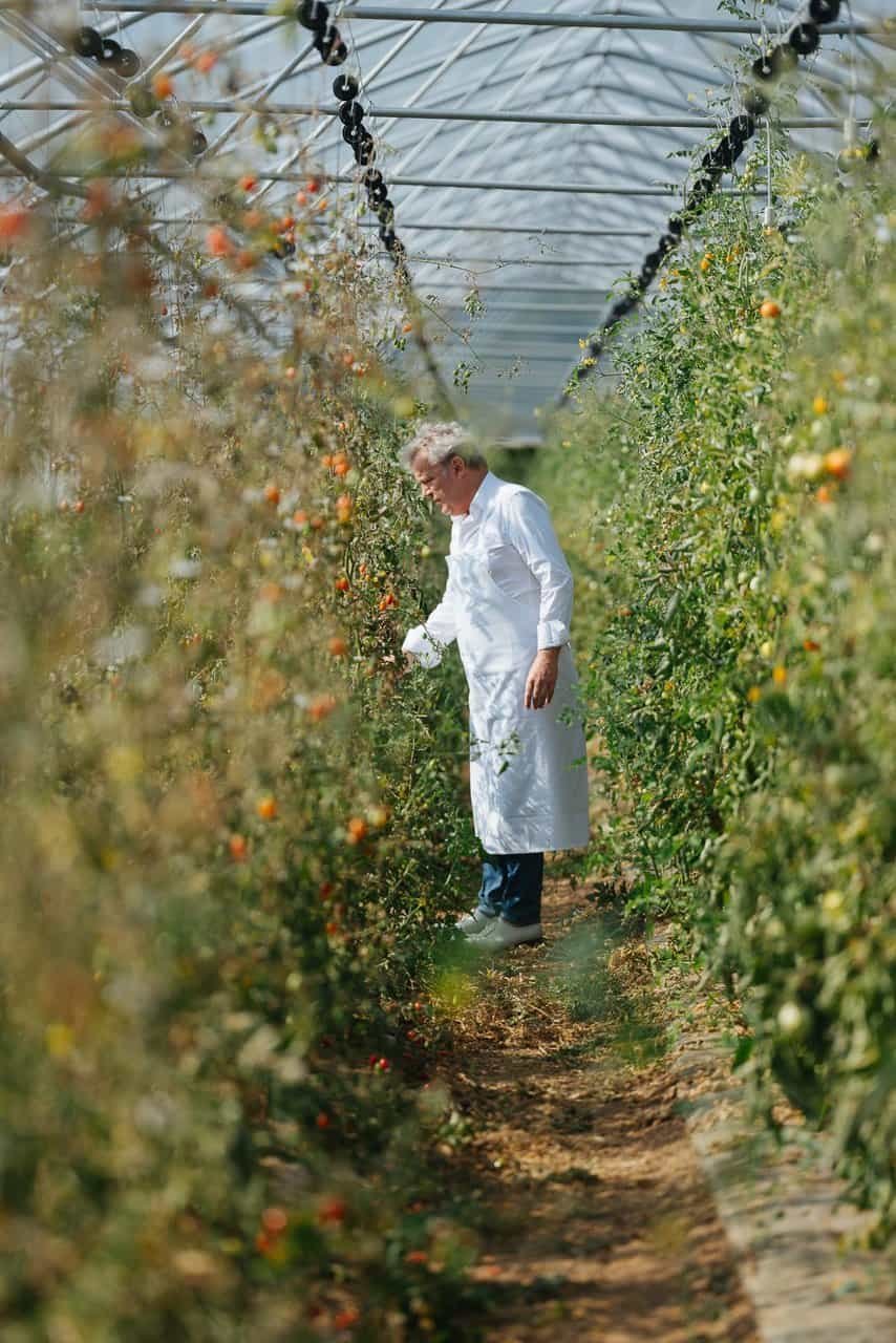 Alain Passard