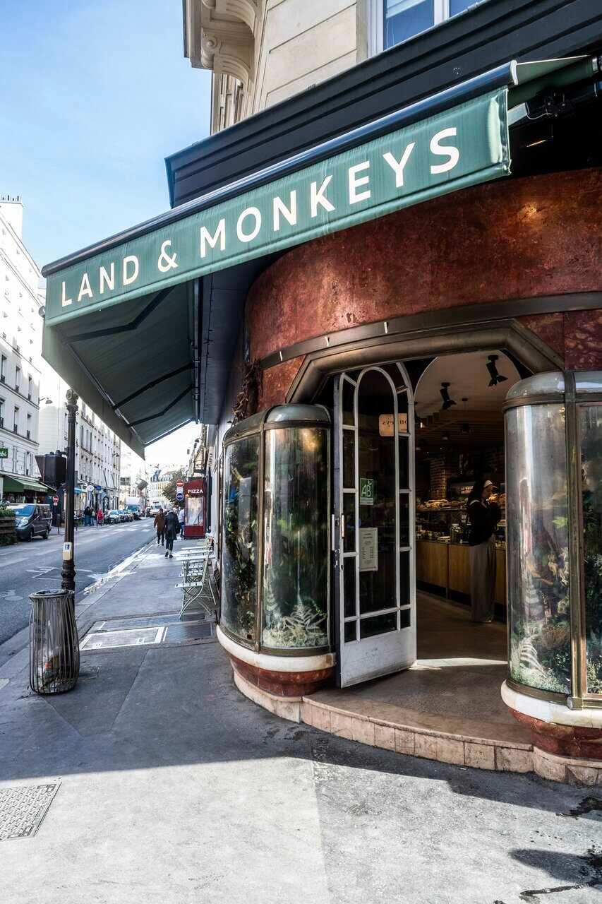 Rodolphe Landemaine - Land&Monkeys
