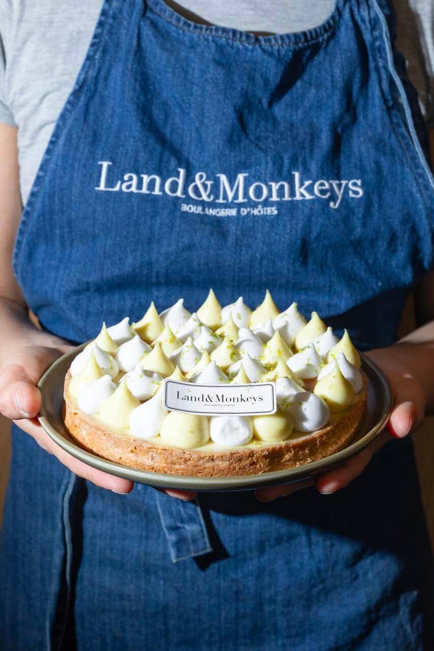 Rodolphe Landemaine - Land&Monkeys